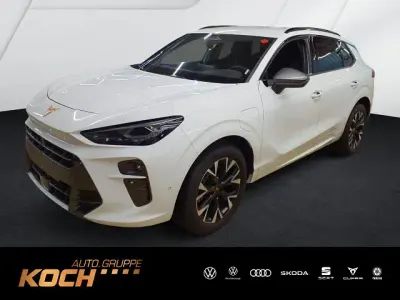 Gebraucht Cupra Terramar