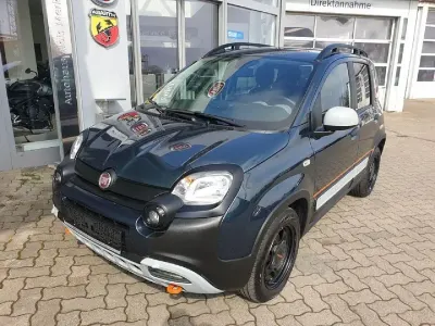 Occasion Fiat Panda Garmin 69 ch (50 kW) 2023 Vert Citadine