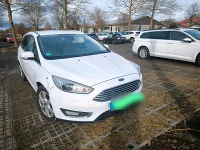 Gebraucht Ford Focus 125 PS (91 kW) 2015 Weiß Kombi