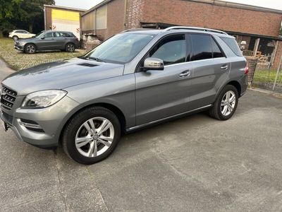 Mercedes ML250