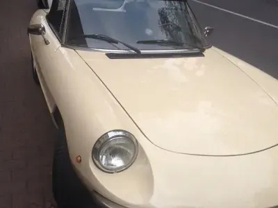 Gebraucht Alfa Romeo Spider 103 PS (75 kW) 1981 Beige Cabrio