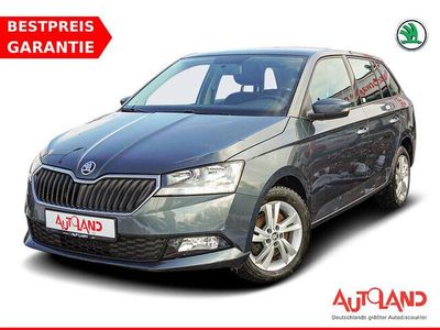 Grau Gebraucht 2020 Skoda Fabia Kombi | 15.990 € (Etwas zu teuer)