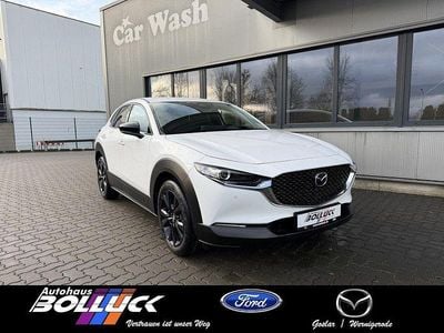 Neu Mazda CX-30 Homura-Line 140 PS (102 kW) 2026 Weiß SUV