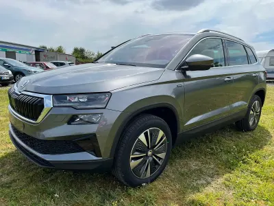 Neu Skoda Karoq 116 PS (85 kW) 2026 SUV