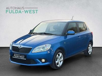 Usata Skoda Fabia 105 CV (77 kW) 2014 Blu Berlina