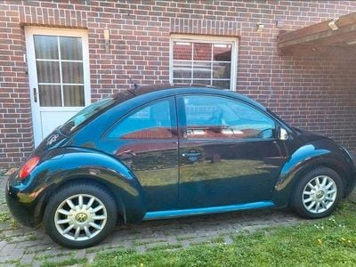 VW Beetle