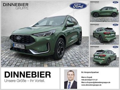 Neu Ford Kuga ST-Line X 179 PS (131 kW) 2026 Grün (metallic) SUV