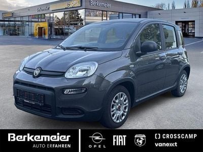 Grau Gebraucht 2023 Fiat Panda Tech Kleinwagen | 11.925 € (Fairer Preis)