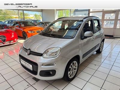 Usata Fiat Panda Lounge 69 CV (50 kW) 2012 Grigio Utilitaria