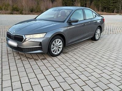 Gebraucht Skoda Octavia 115 PS (84 kW) 2025 Grau Limousine