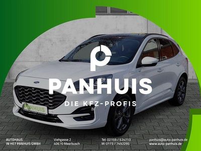 Gebraucht Ford Kuga ST-Line X 224 PS (164 kW) 2021 Frozen white SUV