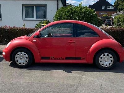 VW Beetle
