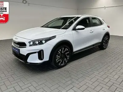 Gebraucht Kia XCeed Black Xdition 160 PS (117 kW) 2023 Weiß (cararraweiss) SUV