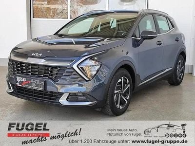 Usata Kia Sportage Vision 150 CV (110 kW) 2023 Grigio SUV