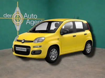 Neu Fiat Panda Icon 65 PS (47 kW) 2026 Gelb Kleinwagen