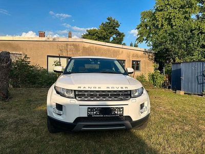 Weiß Gebraucht 2013 Land Rover Range Rover evoque Dynamic SUV | 12.750 € (Teuer)