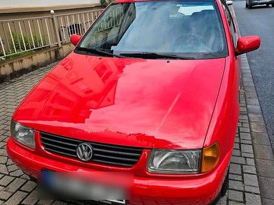 VW Polo