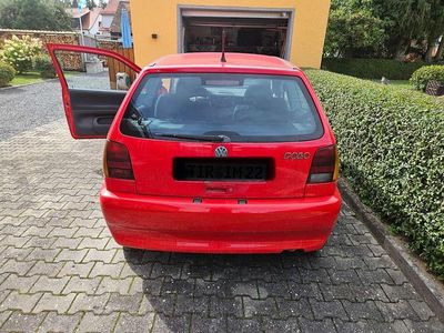 VW Polo