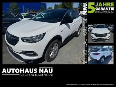 Gebraucht Opel Grandland X 131 PS (96 kW) 2020 Jade weiss/arktis weiss SUV