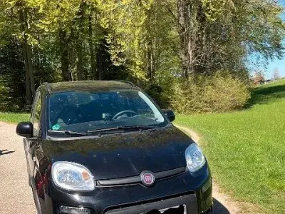 Gebraucht Fiat Panda 4x4 Wild 86 PS (63 kW) 2017 Schwarz Kleinwagen