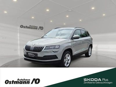 Steelgrau Gebraucht 2021 Skoda Karoq Ambition SUV | 21.980 € (Fairer Preis)