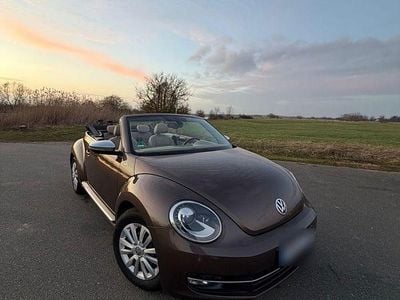 Usata VW Beetle S 160 CV (117 kW) 2013 Marrone Utilitaria