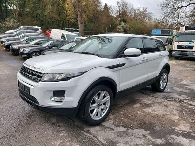 Brugt Land Rover Range Rover evoque Pure 150 HK (110 kW) 2013 Hvid SUV
