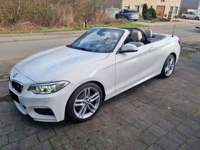 BMW 228