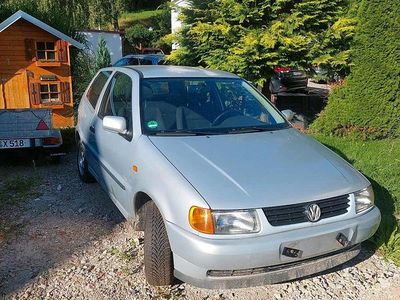 VW Polo