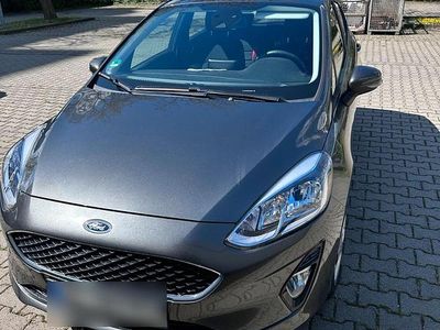 Gebraucht Ford Fiesta Cool & Connect 95 PS (69 kW) 2020 Silber Kleinwagen
