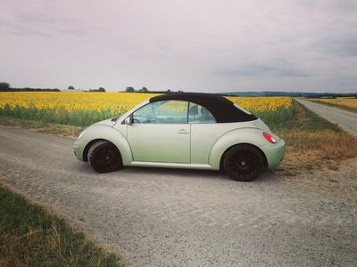 VW Beetle