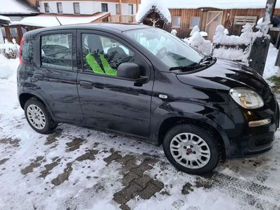 gebraucht Fiat Panda 1.2 Start&Stop Easy