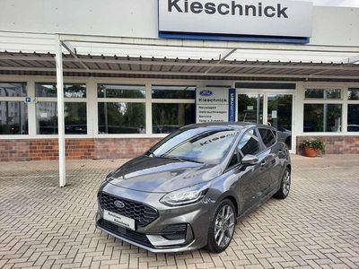Gebraucht Ford Fiesta ST-Line 101 PS (74 kW) 2023 Magneticgrau (metallic) Kleinwagen