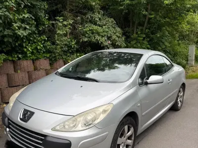 Gebraucht Peugeot 307 CC 140 PS (102 kW) 2006 Silber Cabrio
