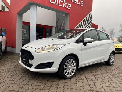 Gebraucht Ford Fiesta Trend 101 PS (74 kW) 2016 Frozen white Kleinwagen