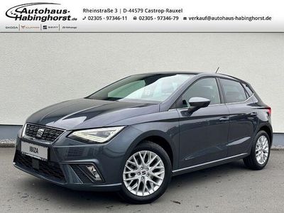 Gebraucht Seat Ibiza XCELLENCE 116 PS (85 kW) 2022 Grau Kleinwagen