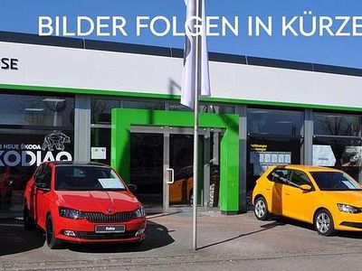 Gebraucht VW T-Cross Active 110 PS (80 kW) 2022 Makenatürkis metallic SUV