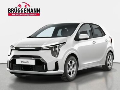 Neu Kia Picanto Edition 7 68 PS (50 kW) 2026 Weiß Kleinwagen