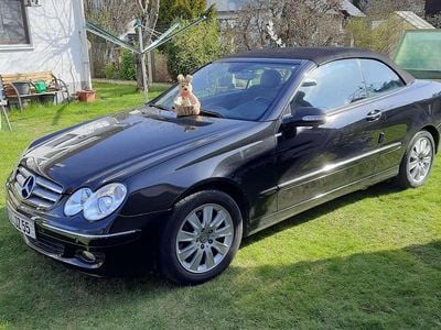Gebraucht Mercedes CLK200 Avantgarde 184 PS (135 kW) 2009 Schwarz Cabrio