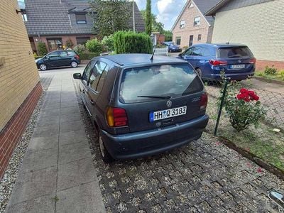 VW Polo