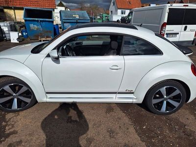 gebraucht VW Beetle 1.2 TSI DSG BMT CUP mit Panoramadach