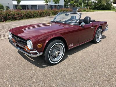 gebraucht Triumph TR6 