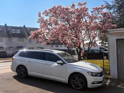 Gebraucht VW Passat 150 PS (110 kW) 2016 Weiß Kombi