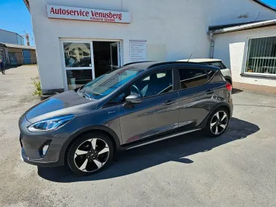 Used Ford Fiesta Active 101 HP (74 kW) 2020 Grey Hatchback