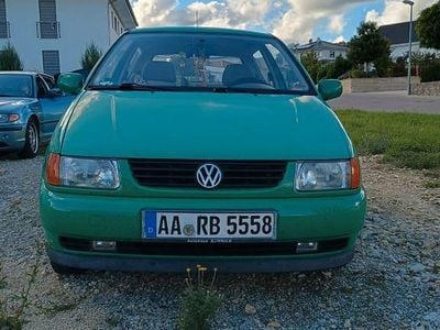 VW Polo