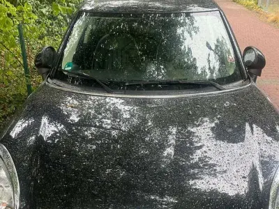 Gebraucht Mini Cooper S Countryman