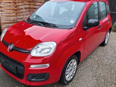 gebraucht Fiat Panda 1,2 "Neueres Model,TÜV Neu,1.Hand"