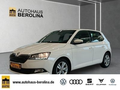 gebraucht Skoda Fabia 1.0 TSI Ambition *PDC*KLIMA*DAB+*