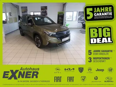 Gebraucht Subaru Forester