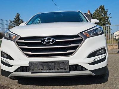 Gebraucht Hyundai Tucson Trend 141 PS (103 kW) 2017 Weiß SUV